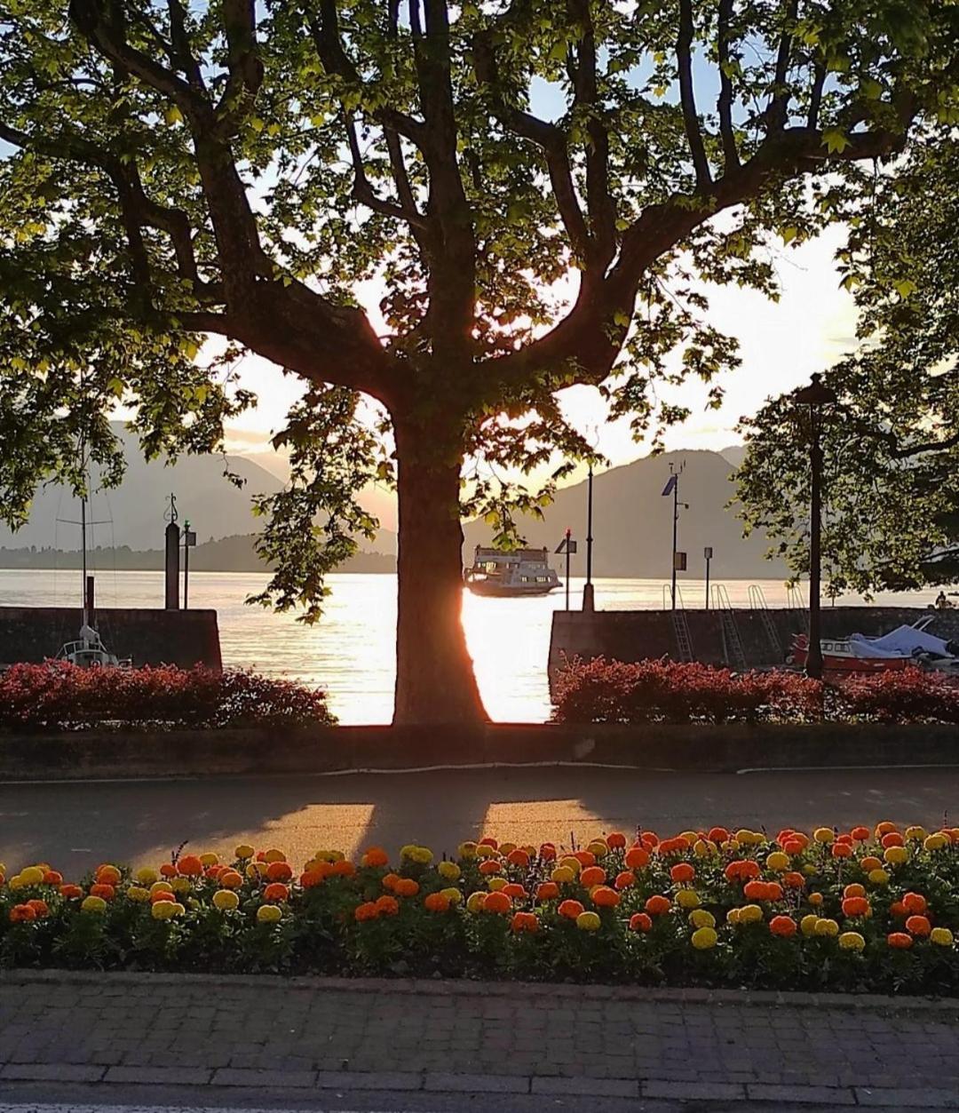 Lily Lake Maggiore Laveno-Mombello Exterior photo